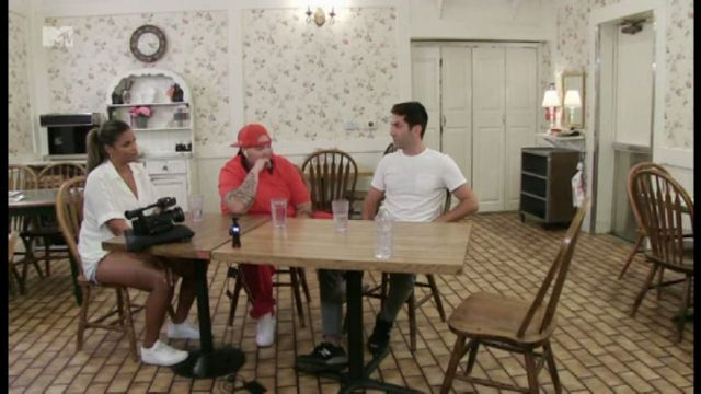 MTV MTV